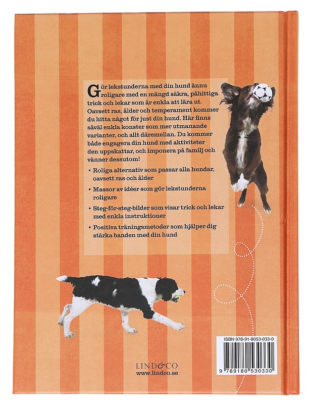 Trick och lekar att lära din hund - Collins, Sophie - Tietokirjat ja oppaat - 10105553245 - 1