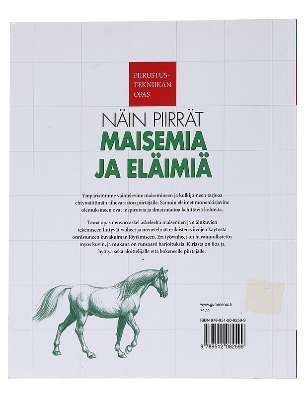Näin Piirrät Maisemia ja Eläimiä - Gray, Peter - Harrastekirjat - 10105553322 - 0