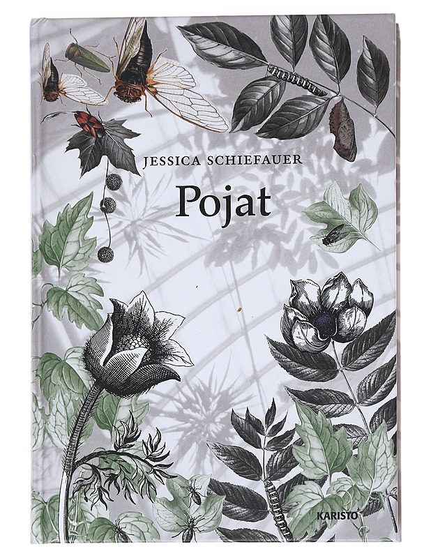Pojat - Jessica Schiefauer - Kaunokirjallisuus - 10105553443 - 0