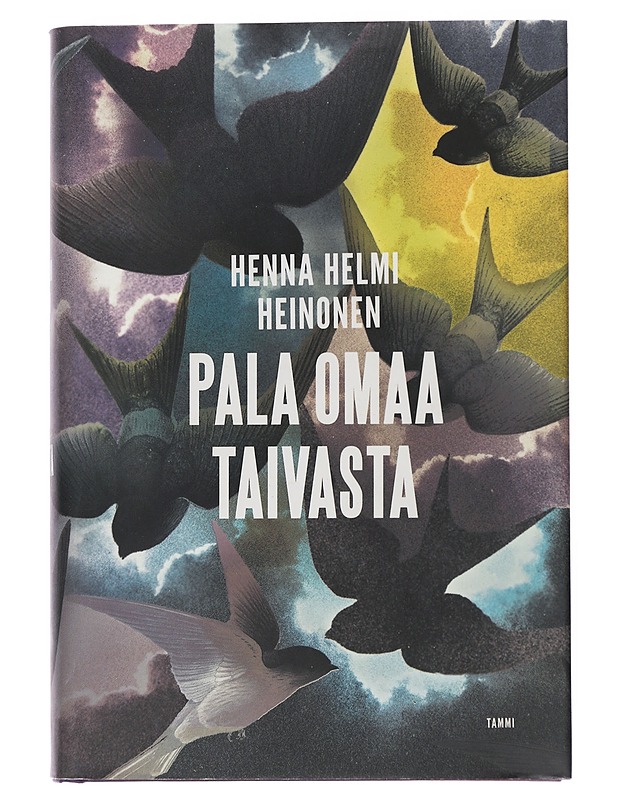 Pala omaa taivasta - Henna Helmi Heinonen - Romaanit ja novellit - 10105553499 - 0