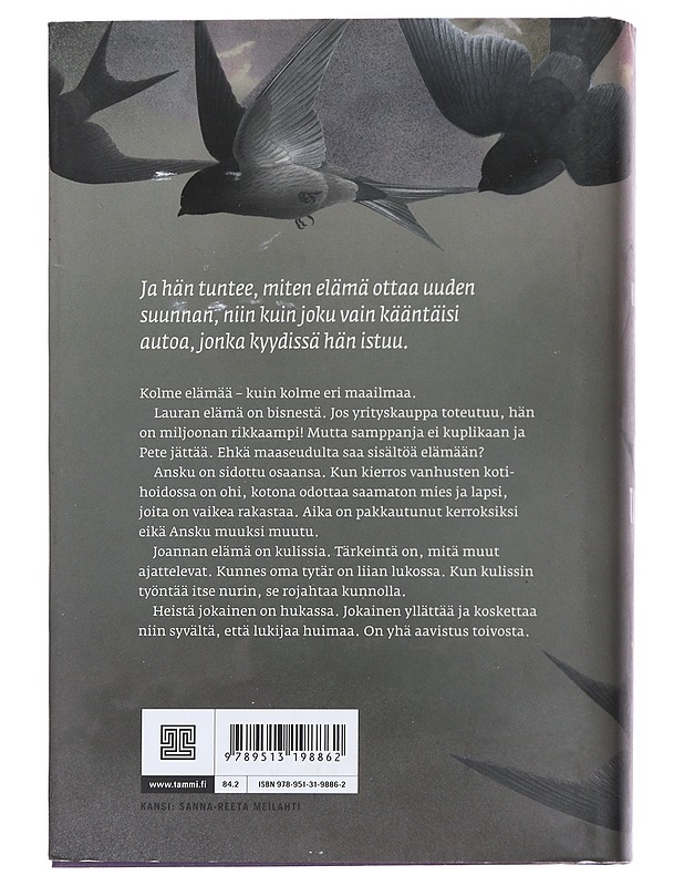 Pala omaa taivasta - Henna Helmi Heinonen - Romaanit ja novellit - 10105553499 - 1