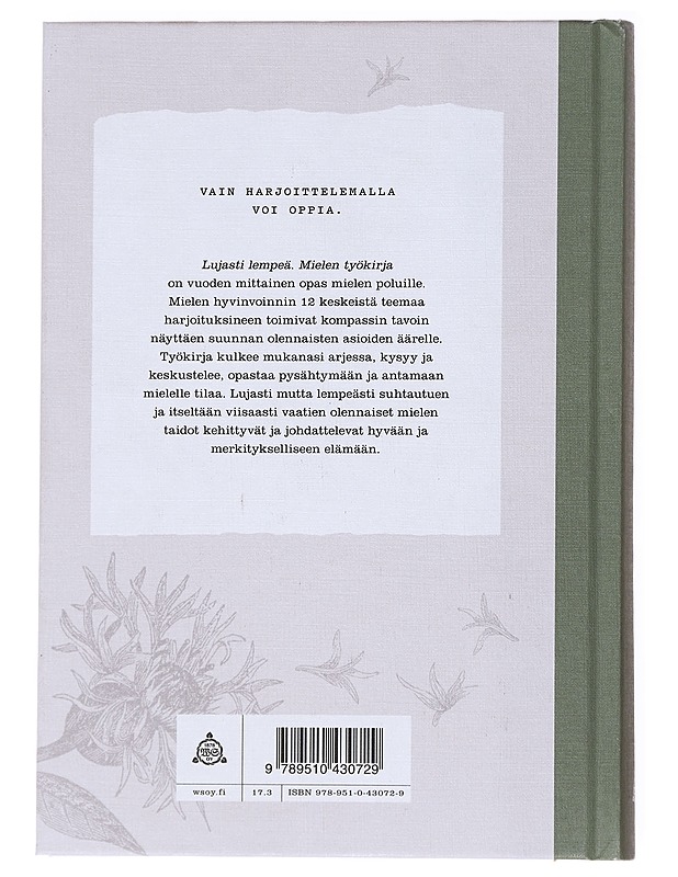 Lujasti lempeä : mielen työkirja - Maaret Kallio - Kirja lahjaksi - 10105554175 - 1