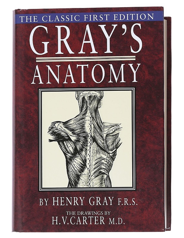 Anatomy : descriptive and surgical - Gray, Henry - Tietokirjat ja oppaat - 10105554225 - 0