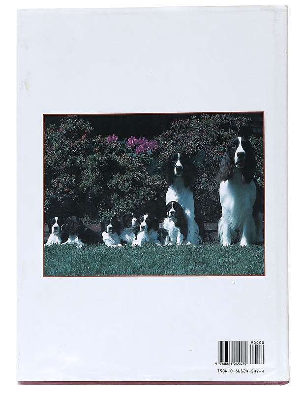 The pictorial encyclopedia of Dogs - Britt Strader - Lemmikki- ja luontokirjat - 10105555038 - 1