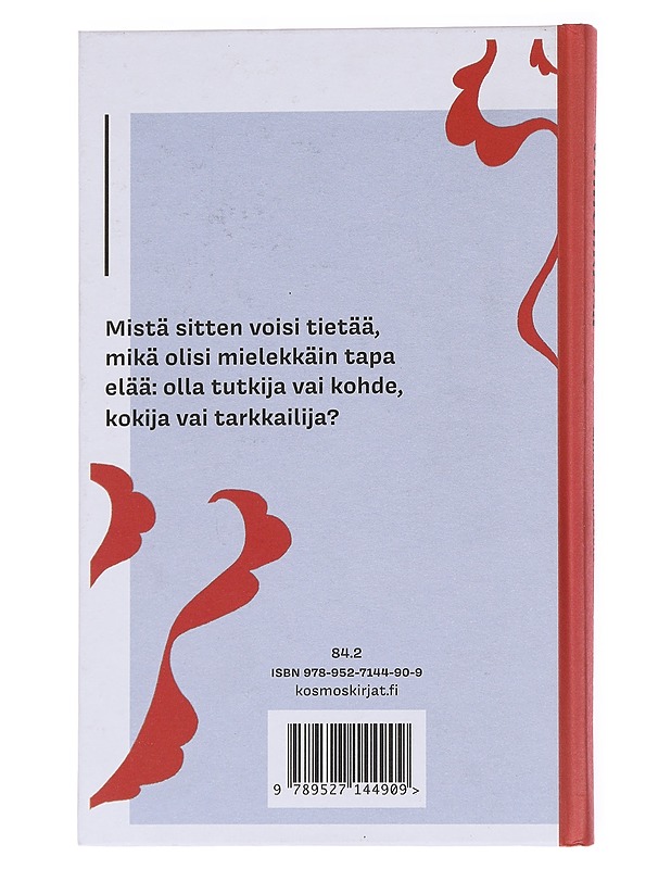 Onnenkissa - Aino Vähäpesola - Romaanit ja novellit - 10105555057 - 1