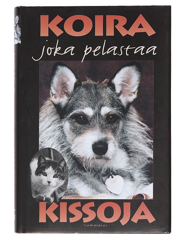Koira joka pelastaa kissoja / tositarina Ginnystä - GONZALES, PHILIP - Romaanit ja novellit - 10105555765 - 0