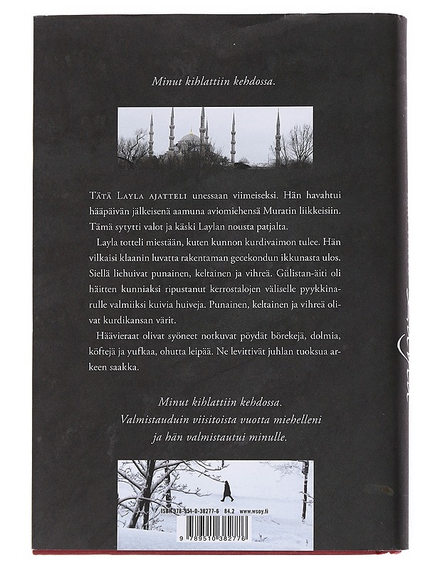 Layla : romaani - Jari Tervo - Romaanit ja novellit - 10105555801 - 1