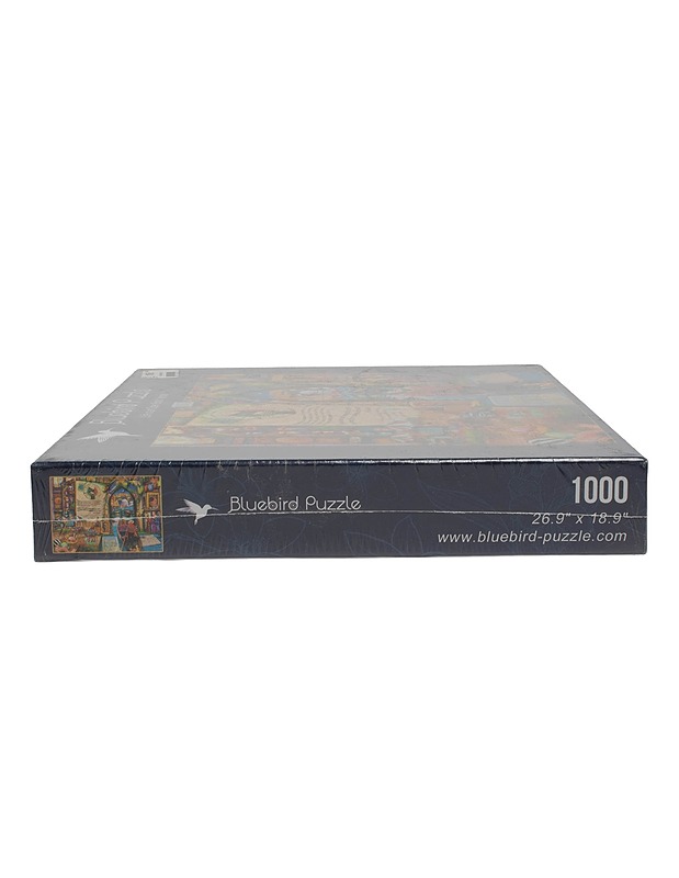 BLUEBIRD PUZZLE Life is an Open Book Venice palapeli, 1000 palaa  - Palapelit - 10105556513 - 1