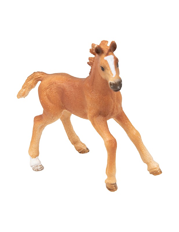 SCHLEICH Arabianhevosvarsa 13984 - Lasten lelut - 10105556568 - 0