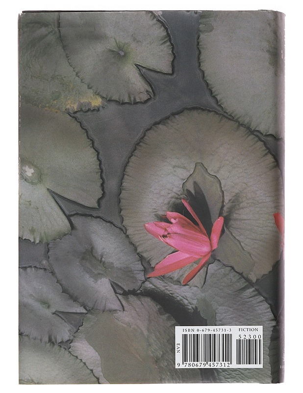 The God of Small Things - Roy, Arundhati - Romaanit ja novellit - 10105556782 - 1