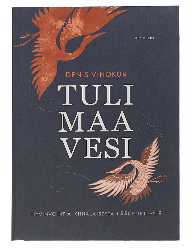 Tuli, maa, vesi : hyvinvointia kiinalaisesta lääketieteestä - Denis Vinokur - Tietokirjat ja oppaat - 10105556992 - 0