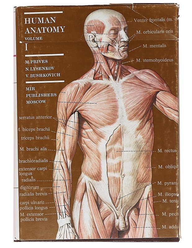 Human Anatomy: Volume 1-2 -Arthur Aksenov - Tietokirjat - 10105557160 - 0