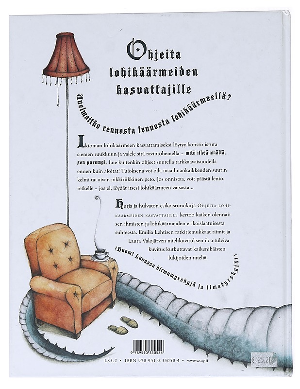 Ohjeita lohikäärmeiden kasvattajille - Emilia Lehtinen, Laura Valojärvi - Lastenkirjat - 10105557164 - 1
