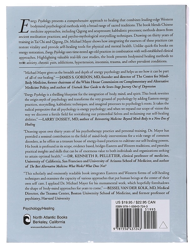 Energy psychology: self-healing practices for bodfymind health - Mayer, Michael, PhD - Hyvinvointikirjat - 10105557411 - 1
