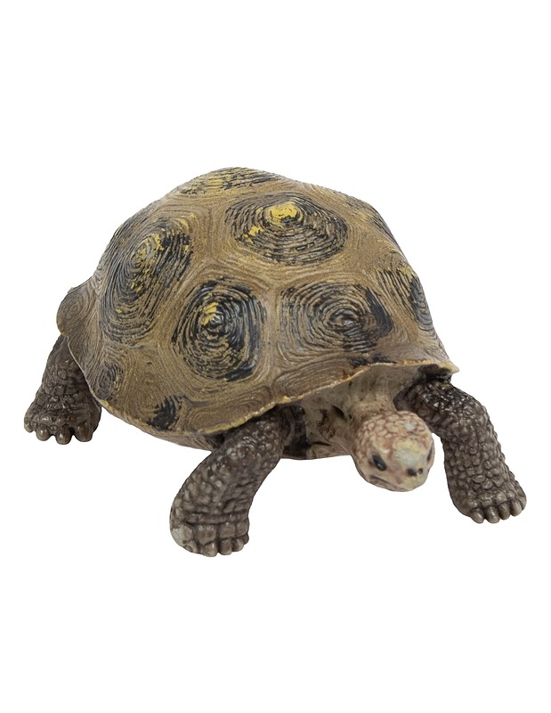 SCHLEICH Jättiläiskilpikonna -14601 - Lasten lelut - 10105557450 - 0