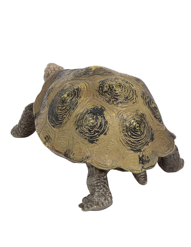 SCHLEICH Jättiläiskilpikonna -14601 - Lasten lelut - 10105557450 - 1