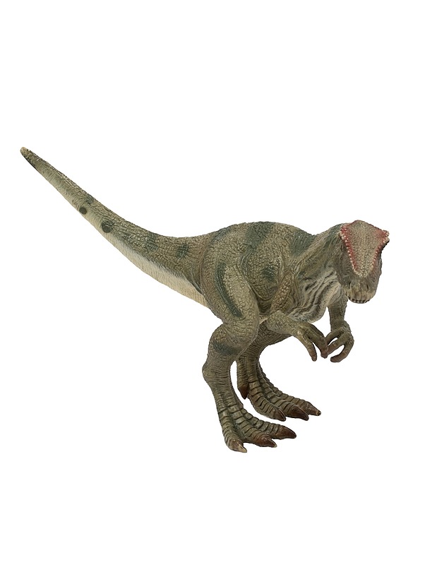 SCHLEICH Allosaurus figuuri  - Lasten figuurit - 10105557480 - 0