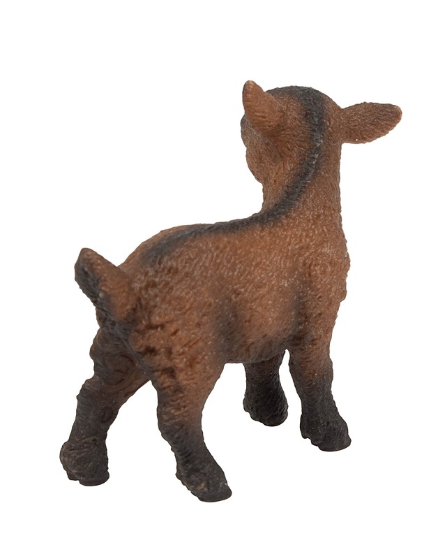 SCHLEICH Kili / Vuohenpoikanen  -13829 - Lasten figuurit - 10105557774 - 1