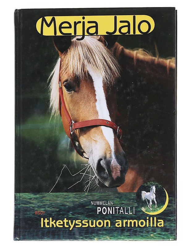 Itketyssuon armoilla - Merja Jalo - Nuorten kirjat - 10105558029 - 0