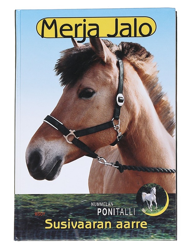 Susivaaran aarre - Merja Jalo - Nuorten kirjat - 10105558032 - 0