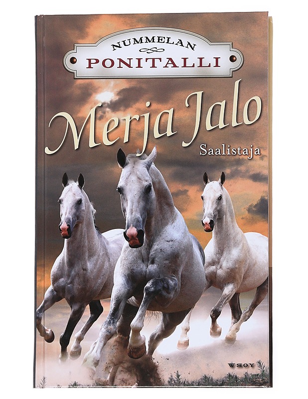 Saalistaja - Merja Jalo - Nuorten kirjat - 10105558038 - 0