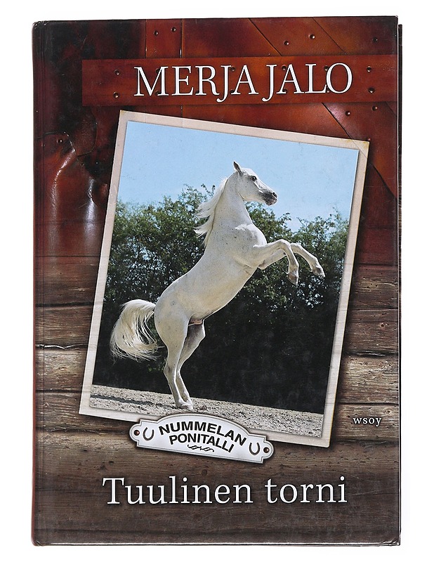 Tuulinen torni - Merja Jalo - Nuorten kirjat - 10105558047 - 0