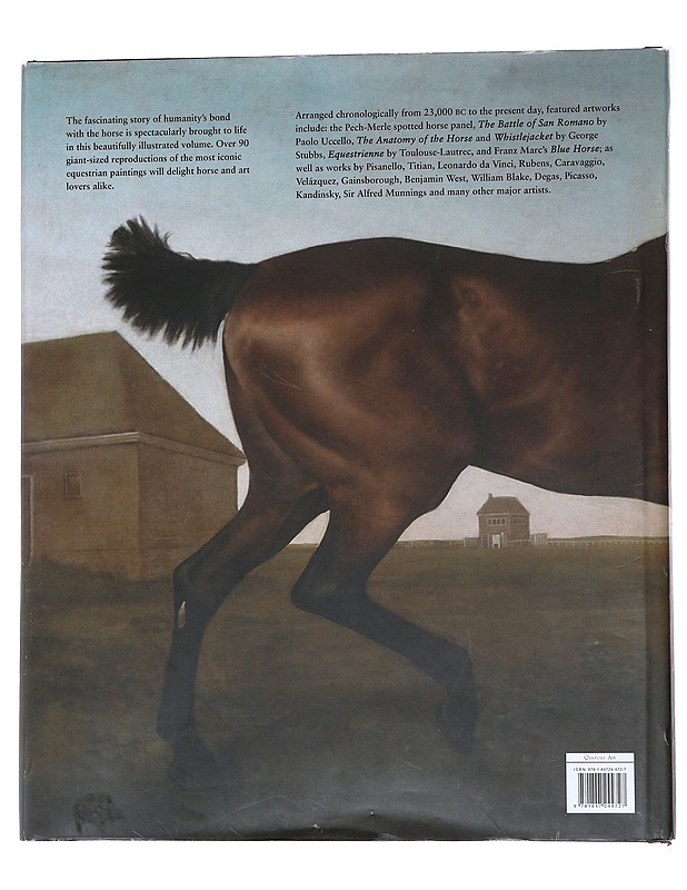 The Horse - Barnes, Rachel & Barnes, Simon - Taide- ja kulttuurikirjat - 10105558923 - 1