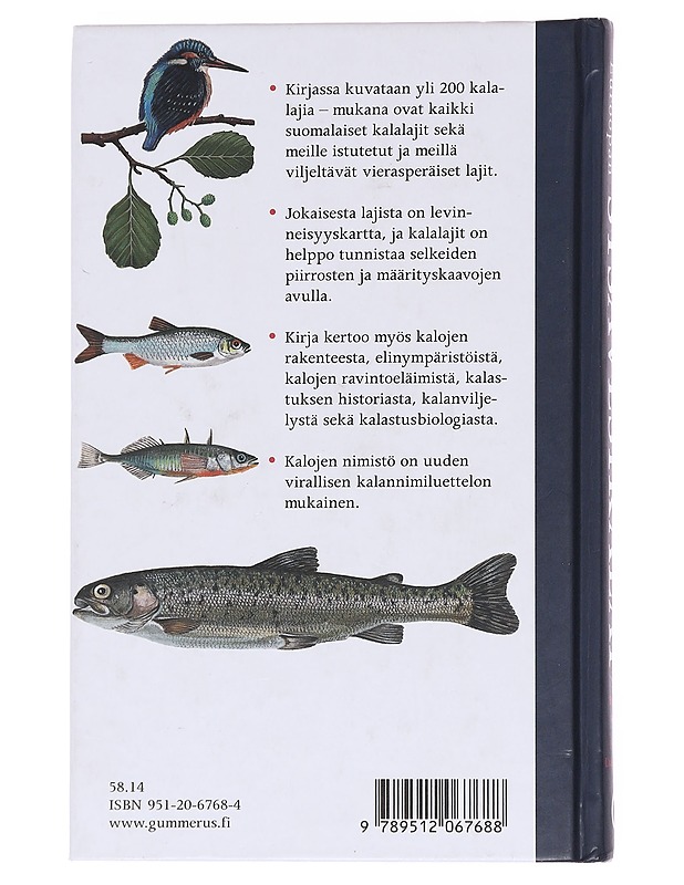 Suomen ja Euroopan sisävesikalat - Bent J. Muus - Tietokirjat ja oppaat - 10105559519 - 1
