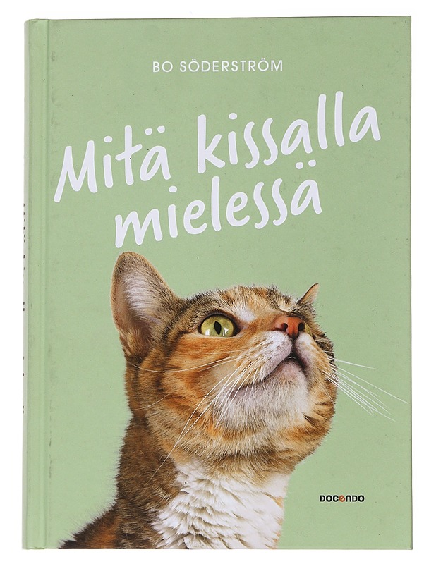 Mitä kissalla mielessä - Söderström, Bo - Tietokirjat ja oppaat - 10105559657 - 0