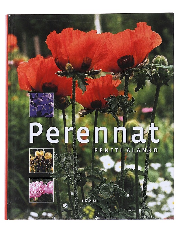 Perennat - Alanko, Pentti - Tietokirjat ja oppaat - 10105560433 - 0