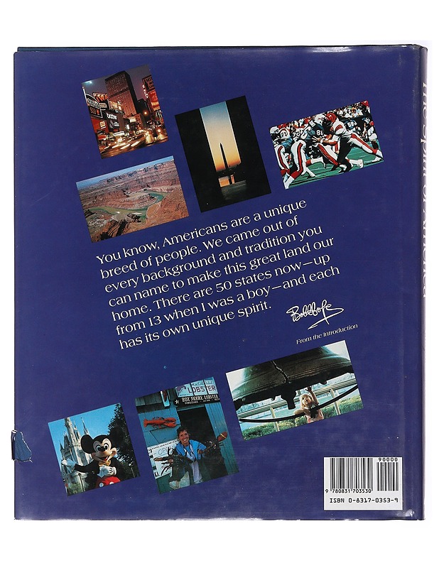 The spirit of America - Mathes, Charles - Historiakirjat - 10105560821 - 1
