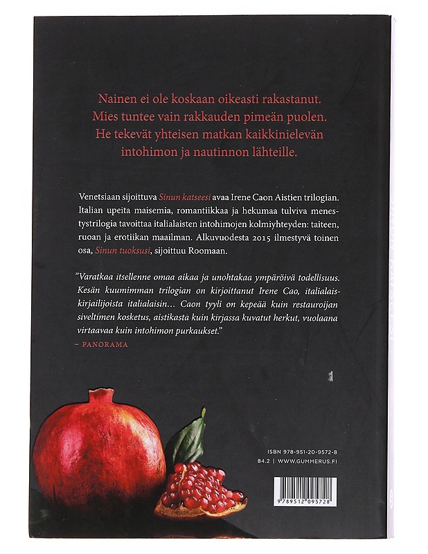 Sinun katseesi - Cao, Irene - Romaanit ja novellit - 10105561331 - 1