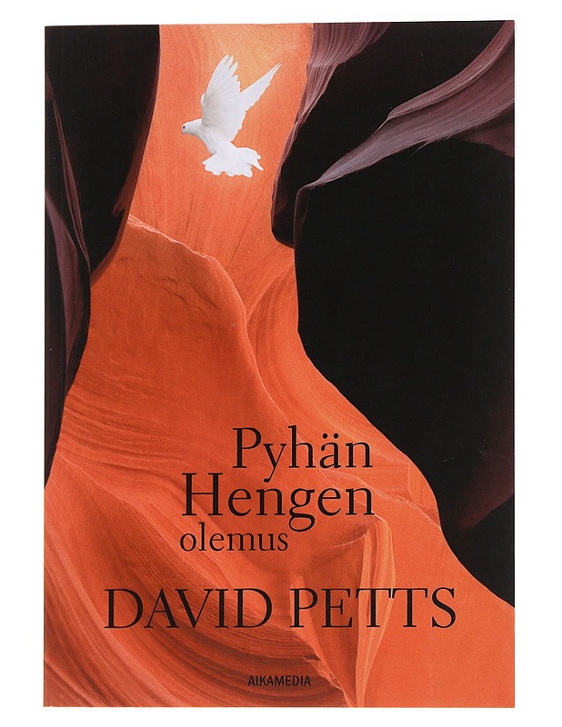 Pyhän Hengen olemus - Petts, David - Tietokirjat ja oppaat - 10105562012 - 0