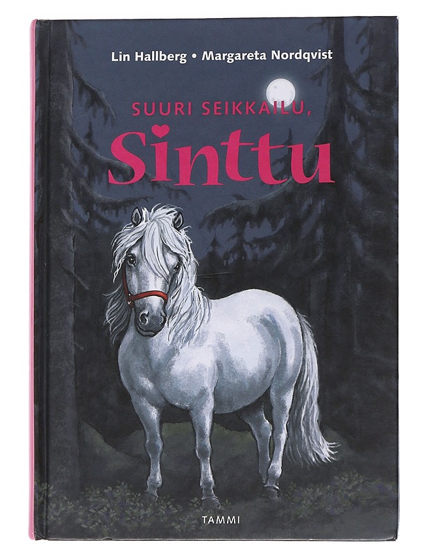 Suuri seikkailu, Sinttu - Lin Hallberg - Lastenkirjat - 10105562247 - 0