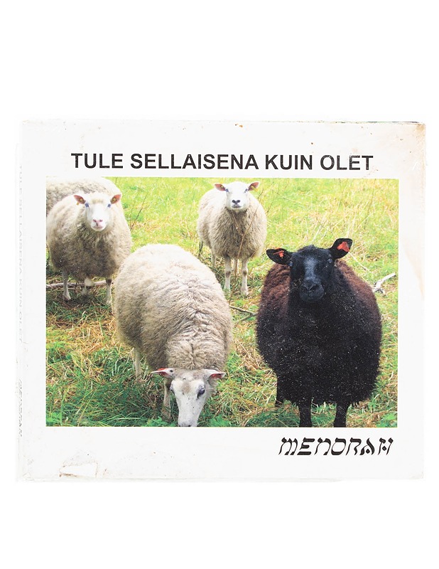 Menorah - Tule sellaisena kuin olet - CD - CD-levyt - 10105562498 - 0