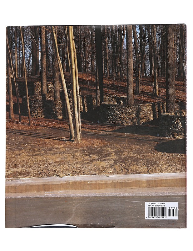 Wall - Andy GoldsWorthy - Tietokirjat ja oppaat - 10105563295 - 1