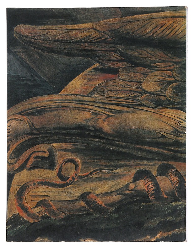 William Blake - Martin Butlin - Tietokirjat ja oppaat - 10105563435 - 1