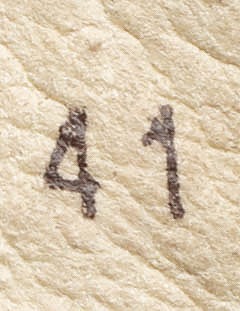 EL NATURALISTA Yggdrasil sandaalit, 41 - Naisten sandaalit ja balleriinat - 10105563699 - 2