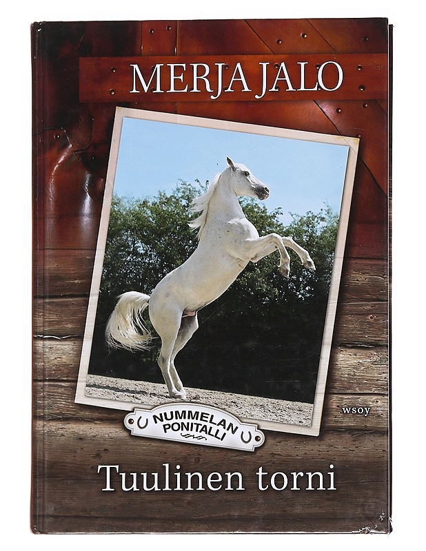 Tuulinen torni - Merja Jalo - Nuorten kirjat - 10105563756 - 0