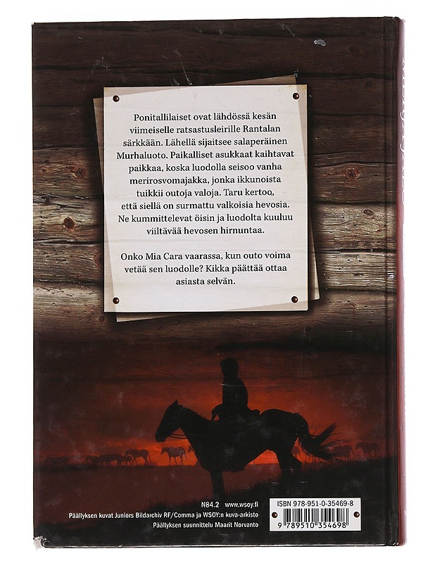 Tuulinen torni - Merja Jalo - Nuorten kirjat - 10105563756 - 1