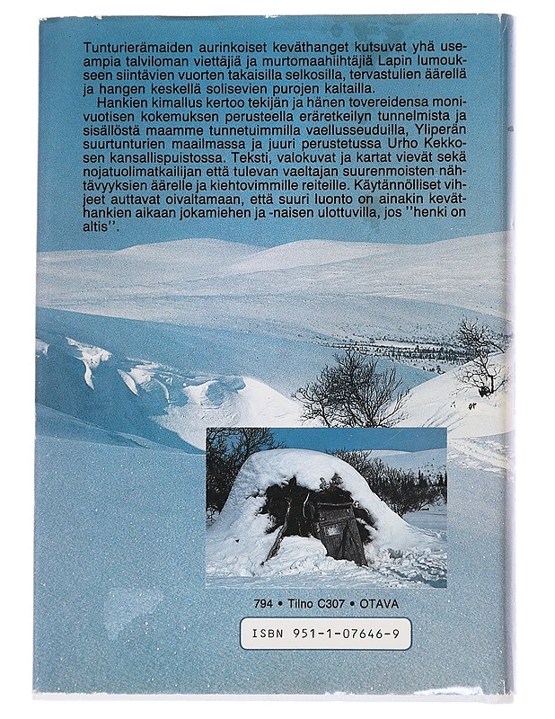 Hankien kimallus - Kai-Veikko Vuoristo - Historiakirjat - 10105564070 - 1