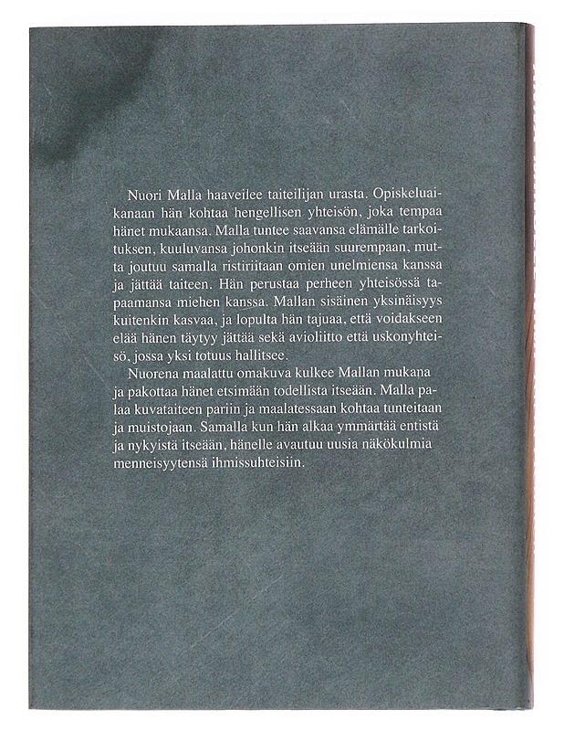 Anna minulle nimi - Ritva Hellsten - Romaanit ja novellit - 10105564963 - 1