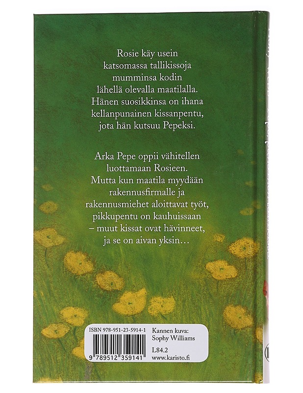 Pepe, punainen tallikissa - Webb, Holly - Lastenkirjat - 10105565313 - 1