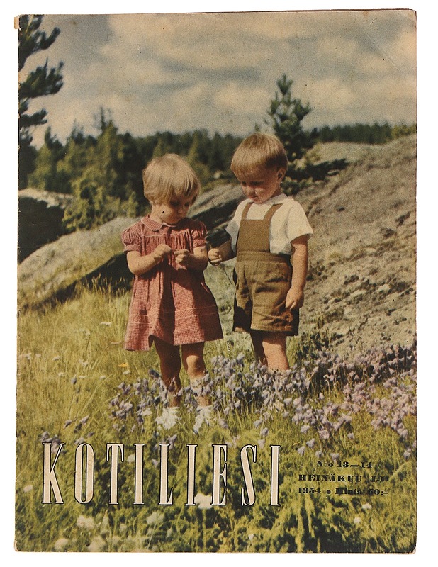 Kotiliesi n:o 13-14/1954 - Lehdet - 10105565678 - 0