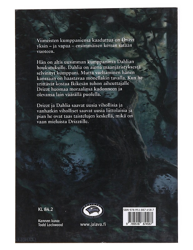 Ikikesä - Salvatore, R. A. - Fantasia- ja scifi - 10105566117 - 1