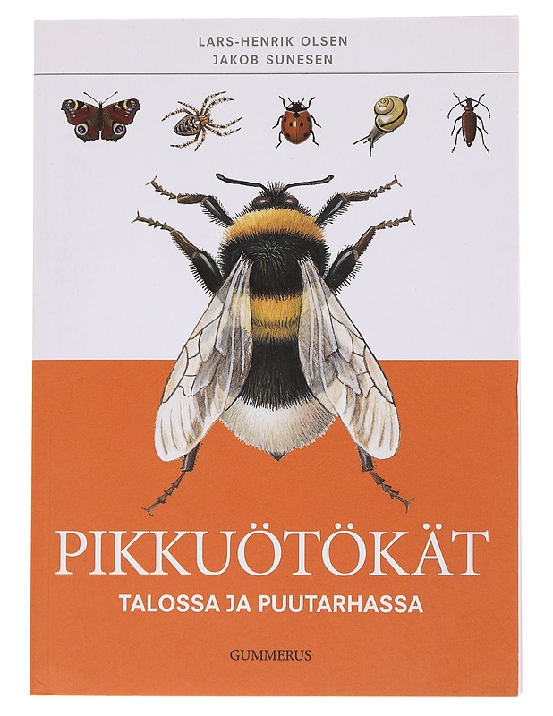 Pikkuötökät talossa ja puutarhassa - Olsen, Lars-Henrik - Tietokirjat ja oppaat - 10105566960 - 0