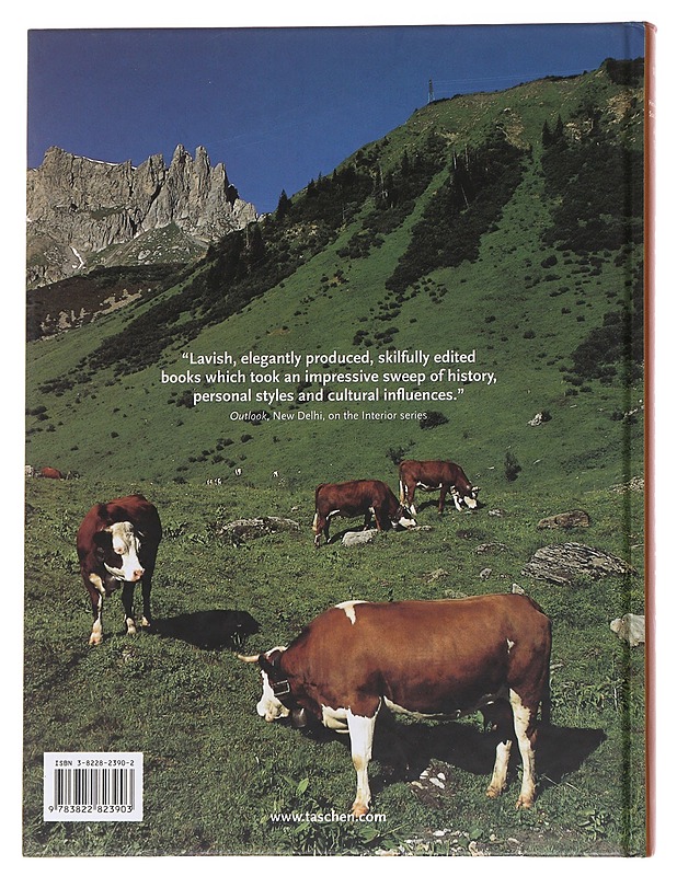 Mountain Interiors - Beate Wedekind - Tietokirjat - 10105567040 - 1
