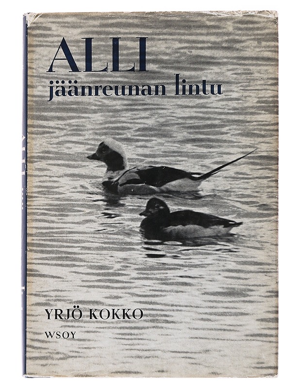 Alli: jäänreunan lintu - Kokko, Yrjö - Romaanit ja novellit - 10105567181 - 0