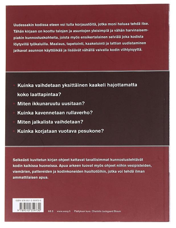 Kodin kunnostustyöt - Erik Boile - Puutarha- ja remontointikirjat - 10105567467 - 1