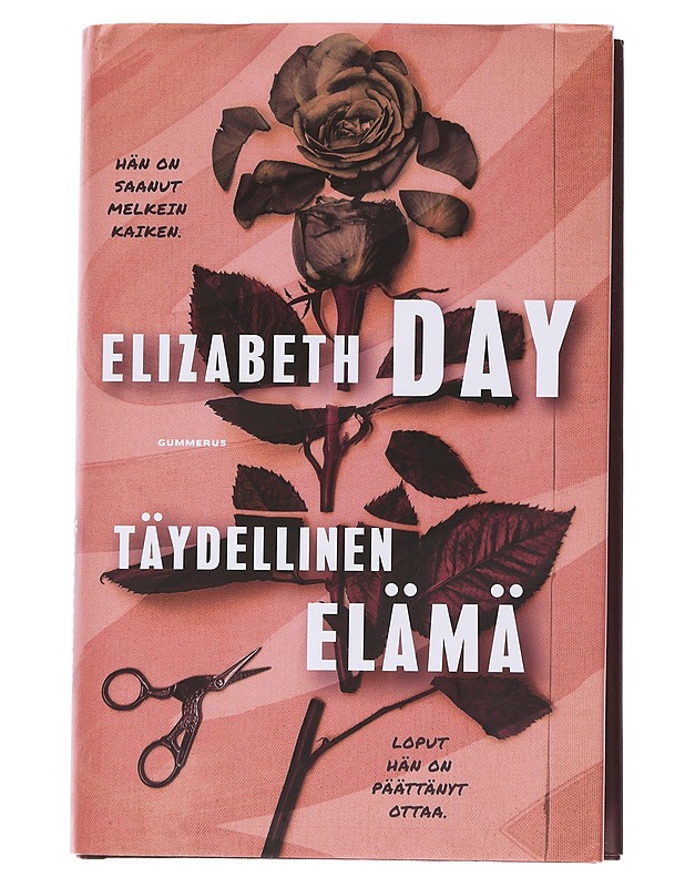 Täydellinen elämä - Elizabeth Day - Romaanit ja novellit - 10105567532 - 0